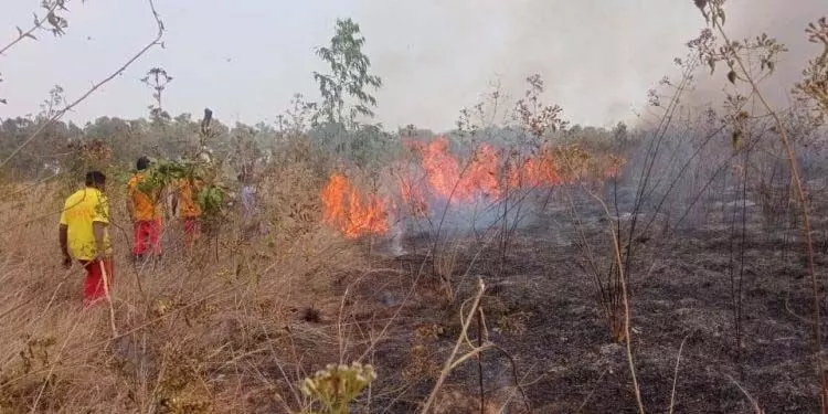 क्योंझर जिले में मित्रभानु जंगल में लगी आग से जंगल जलकर खाक हो गया