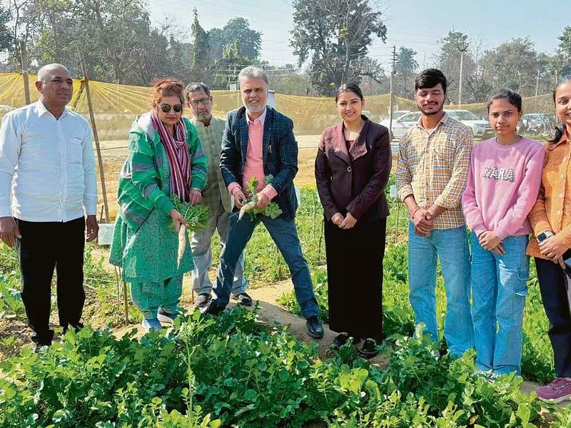 Haryana : कैम्पस नोट्स जैविक खेती अभियान Haryana : कैम्पस नोट्स जैविक खेती अभियान