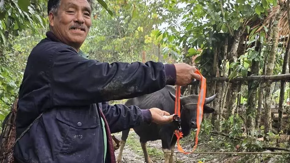 Arunachal : राजमार्ग दुर्घटनाओं को रोकने के लिए