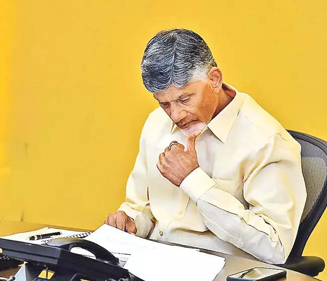 CM Chandrababu: चावल की पतली किस्मों की खेती को प्रोत्साहन CM Chandrababu: चावल की पतली किस्मों की खेती को प्रोत्साहन