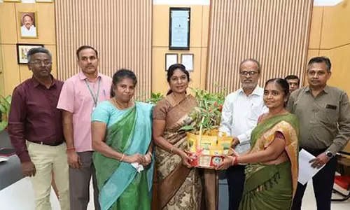 Tamil Nadu: कृषि विश्वविद्यालय ने 19 नई फसल किस्में पेश कीं Tamil Nadu: कृषि विश्वविद्यालय ने 19 नई फसल किस्में पेश कीं