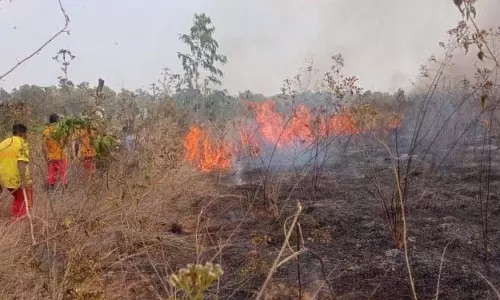 क्योंझर जिले में मित्रभानु जंगल में लगी आग से जंगल जलकर खाक हो गया