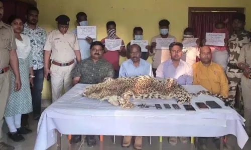 तेंदुए की खाल जब्त, छह हिरासत में