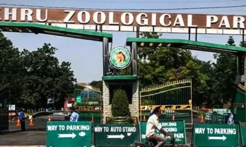 Telangana: गौर से घायल चिड़ियाघर के पशु चिकित्सक की हालत खतरे से बाहर