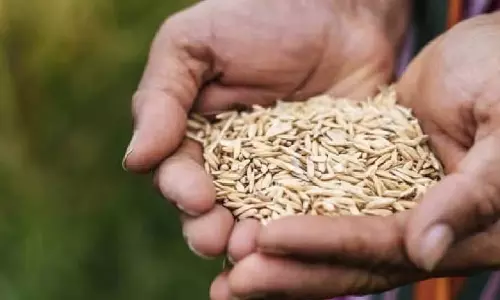 Assam ने सातवें दिन तक 89.11% खाद्यान्न वितरित कर खाद्य सुरक्षा सुनिश्चित की