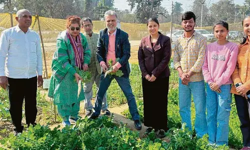 Haryana :  कैम्पस नोट्स जैविक खेती अभियान