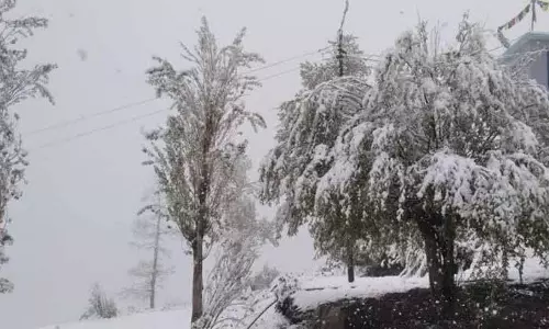 Himachal: आज से ऊंचे क्षेत्रों में बर्फबारी और बारिश की संभावना Himachal: आज से ऊंचे क्षेत्रों में बर्फबारी और बारिश की संभावना