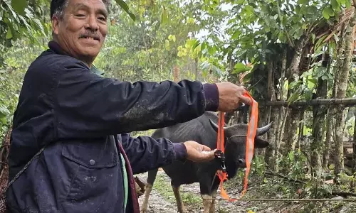 Arunachal : राजमार्ग दुर्घटनाओं को रोकने के लिए