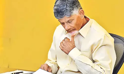 CM Chandrababu: चावल की पतली किस्मों की खेती को प्रोत्साहन