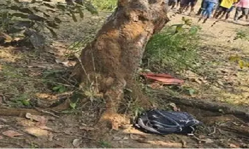 Malkangiri जिले के जंगल से दो लड़कियों के शव बरामद Malkangiri जिले के जंगल से दो लड़कियों के शव बरामद