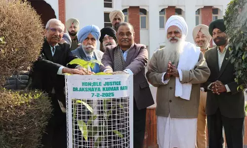 Amritsar: निशान-ए-सिखी समारोह में पर्यावरण संरक्षण का आह्वान