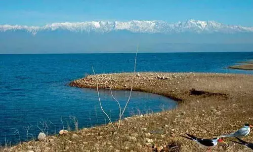 Dehra में 89 भूमिहीन पौंग बांध विस्थापितों के दावे स्वीकार