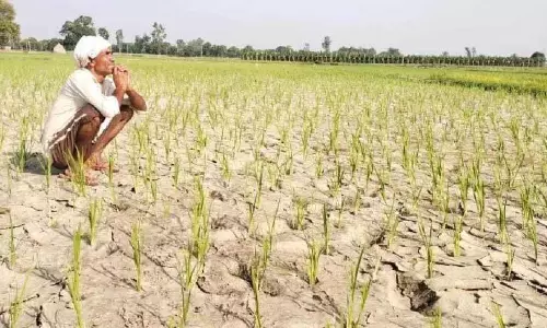 Himachal: कम बारिश से घाटा 91% तक पहुंचा, फसलों और मौसम पर असर