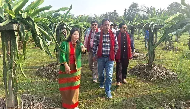 Arunachal: वांगसू ने ई/सियांग में परियोजनाओं के कार्यान्वयन का जायजा लिया