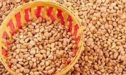 Health: पेट के लिए बेहद फायदेमंद हैं चिरौंजी के बीज, जानें इसके फायदे