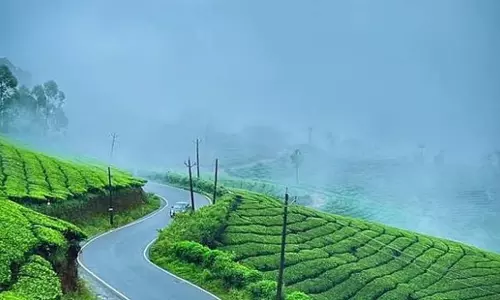 Kerala: मुन्नार में मौसम का सबसे कम तापमान -1°C दर्ज किया गया