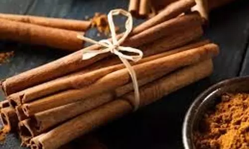 Weight Loss Tips: वजन घटाने का अचूक इलाज हैं ये आयुर्वेदिक सुपरफूड्स Weight Loss Tips: वजन घटाने का अचूक इलाज हैं ये आयुर्वेदिक सुपरफूड्स