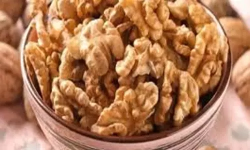 Health: रोजाना अखरोट खाने से शरीर को मिलते हैं कई फायदे, बीमारियां भी रहती हैं दूर Health: रोजाना अखरोट खाने से शरीर को मिलते हैं कई फायदे, बीमारियां भी रहती हैं दूर