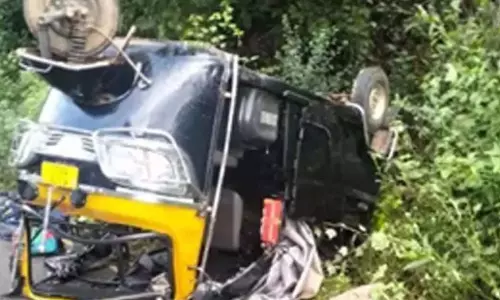 Andhra: ऑटो पलटने से 16 लोग मामूली रूप से घायल