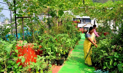 Visakhapatnam की ग्रीन सिटी महत्वाकांक्षा को झटका Visakhapatnam की ग्रीन सिटी महत्वाकांक्षा को झटका