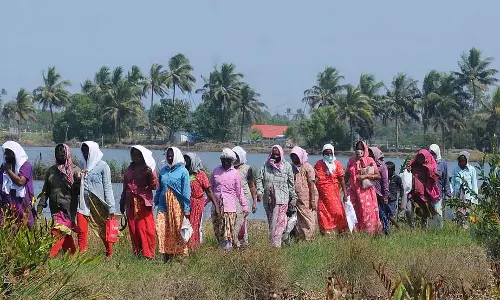 Telangana में छह साल में 2.3 लाख मनरेगा जॉब कार्ड रद्द