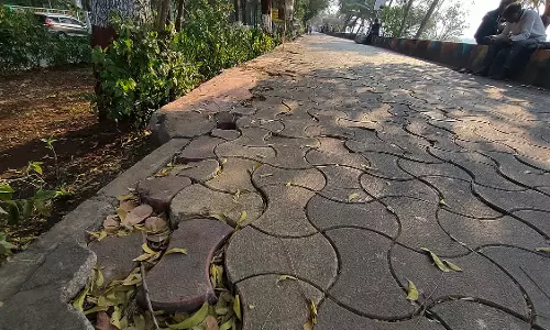 मुंबई: NMMC के सफाई प्रयासों के बावजूद समुद्र तट के खराब रखरखाव पर चिंता व्यक्त की