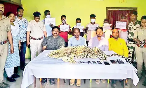 Odisha: तेंदुए की खाल बरामद की Odisha: तेंदुए की खाल बरामद की