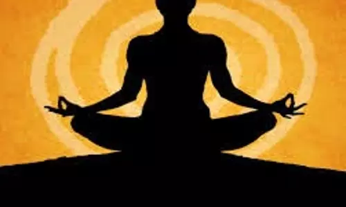 Fitness Tips: बिना एक्सरसाइज किए कैसे रहें फिट, अपनाएं ये  टिप्स
