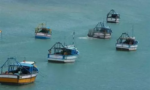 तमिलनाडु के 14 मछुआरे गिरफ्तार: श्रीलंकाई नौसेना ने किया अत्याचार