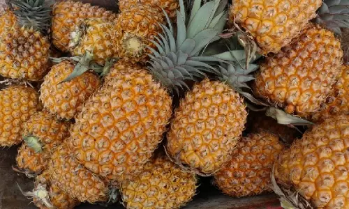 अनानास के साथ दिन की शुरुआत करने के 5 अविश्वसनीय स्वास्थ्य लाभ, पढ़ें Details