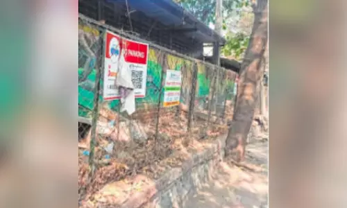 Maharashtra : आवंटित बजट के बावजूद पुणे में सड़क किनारे वृक्षारोपण का काम अधूरा