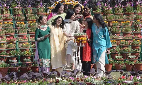 PU Rose फेस्टिवल के दूसरे दिन युवा कलाकारों ने बिखेरा जलवा PU Rose फेस्टिवल के दूसरे दिन युवा कलाकारों ने बिखेरा जलवा