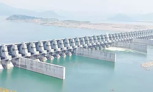 Polavaram: मिट्टी में डी-दीवार निर्माण के लिए विशेष डिजाइन