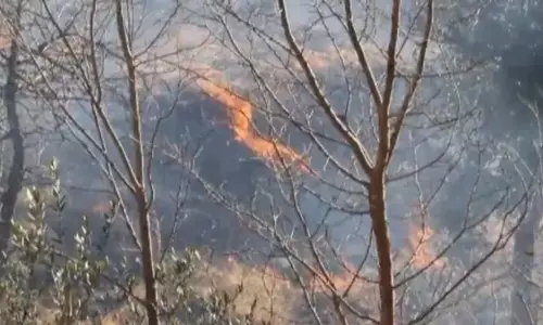 जंगल में लगी आग से जम्मू-कश्मीर के पुंछ में नियंत्रण रेखा पर 4 बारूदी सुरंग विस्फोट