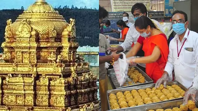 तिरुपति लड्डू मामला: कई अनियमितताएं सामने आई , डिंडीगुल कंपनी का मालिक गिरफ्तार तिरुपति लड्डू मामला: कई अनियमितताएं सामने आई , डिंडीगुल कंपनी का मालिक गिरफ्तार