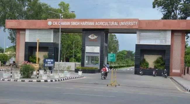 कृषि University में बेकरी प्रशिक्षण पाठ्यक्रम का समापन