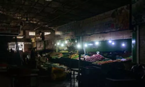 ब्लैकआउट : देश भर में बिजली गुल, पावर सब स्टेशन में घुस आए थे बंदर