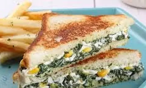 Spinach Corn Sandwich Recipe घर पर आसानी से बनाएं बाजार जैसा पालक-कॉर्न सैंडविच Spinach Corn Sandwich Recipe घर पर आसानी से बनाएं बाजार जैसा पालक-कॉर्न सैंडविच