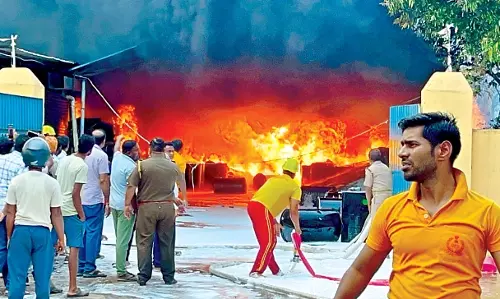 Odisha: कार्डबोर्ड फैक्ट्री में भीषण आग लग गई Odisha: कार्डबोर्ड फैक्ट्री में भीषण आग लग गई