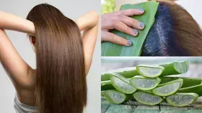 Lifestyle: बालों को घना और चमकदार बनाने के लिए लगायें यह एलोवेरा हेयर पैक Lifestyle: बालों को घना और चमकदार बनाने के लिए लगायें यह एलोवेरा हेयर पैक