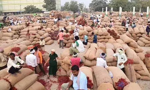 Khammam मंडी में एक लाख बोरी मिर्च पहुंची, किसान व्यापारियों के रहम पर Khammam मंडी में एक लाख बोरी मिर्च पहुंची, किसान व्यापारियों के रहम पर