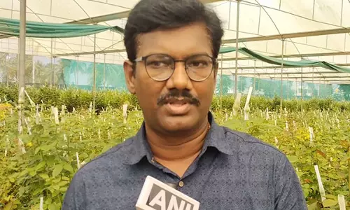 Valentines Day से पहले कृष्णागिरी जिले से गुलाब निर्यात के लिए तैयार