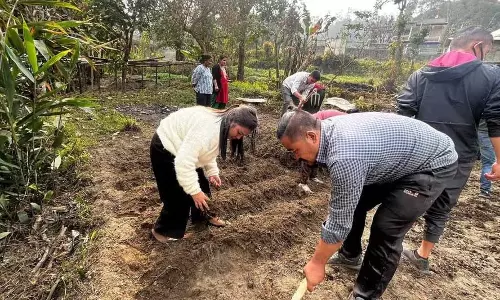Sikkim : पाकयोंग में बंजर भूमि को खेती के लिए पुनर्जीवित करने के अभियान ने गति पकड़ी Sikkim : पाकयोंग में बंजर भूमि को खेती के लिए पुनर्जीवित करने के अभियान ने गति पकड़ी