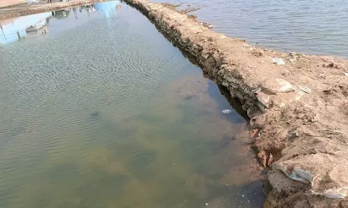कचरे में स्नान कुंड! अफसर राजिम कुम्भ स्थल को अंतिम रूप देने कर रहे भ्रष्टाचार कचरे में स्नान कुंड! अफसर राजिम कुम्भ स्थल को अंतिम रूप देने कर रहे भ्रष्टाचार