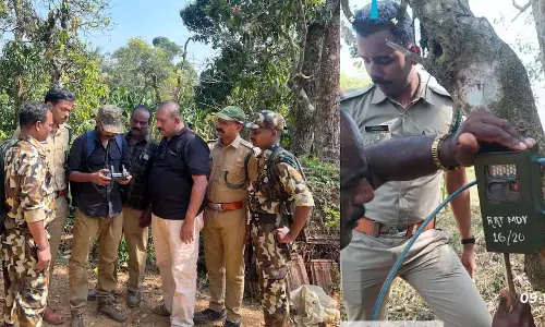 Kerala :  बाघ का डर वायनाड के पेरिया में ड्रोन, आरआरटी ​​टीमें तैनात
