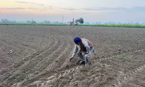 किसान बीज, DAP उर्वरक की कमी से जूझ रहे किसान बीज, DAP उर्वरक की कमी से जूझ रहे