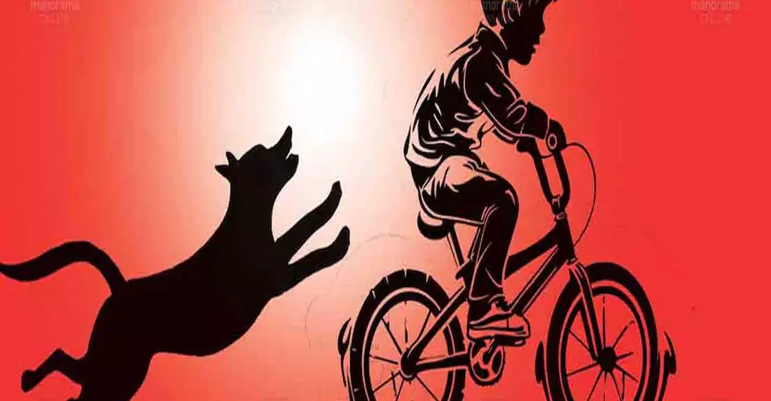 Kerala : आवारा कुत्ते के हमले से अलप्पुझा में 10 वर्षीय लड़के की रेबीज से मौत Kerala : आवारा कुत्ते के हमले से अलप्पुझा में 10 वर्षीय लड़के की रेबीज से मौत