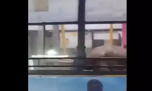सांड ने बस में तोड़फोड़ की, अचानक घुसा और फिर, वीडियो सांड ने बस में तोड़फोड़ की, अचानक घुसा और फिर, वीडियो