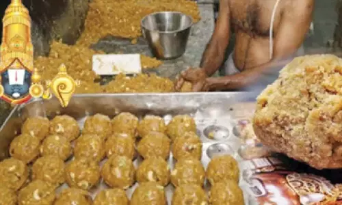 Andhra: एसआईटी जांच में टीटीडी को मिलावटी घी की आपूर्ति का खुलासा