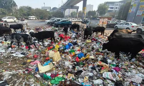 Haryana :  क्षतिग्रस्त सड़कों से लेकर गंदगी तक, स्थानीय लोगों ने गुरुग्राम और मानेसर में प्रमुख चिंताएं जताईं